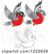 Outlined And Colored Cute Bullfinch Birds Flying