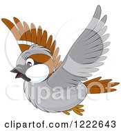 Poster, Art Print Of Cute Flying Brown And Gray Sparrow Bird