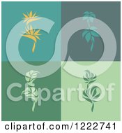 Clipart Of Bird Of Paradise And Tropical Plants On Different Backgrounds Royalty Free Vector Illustration
