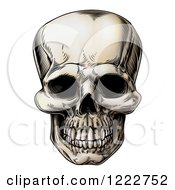 Clipart Of A Vintage Human Skull Royalty Free Vector Illustration by AtStockIllustration