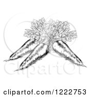 Clipart Of Black And White Etched Carrots Royalty Free Vector Illustration