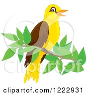 Poster, Art Print Of Cute Oriole Bird Perched On A Branch