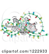 Poster, Art Print Of Cat Playing With And Tangling Up Christmas Lights