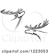 Poster, Art Print Of Black And White Deer Or Moose With Antlers 3