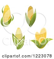 Poster, Art Print Of Golden Ears Of Corn And Leaves