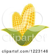 Poster, Art Print Of Golden Ear Of Corn And Leaves 4