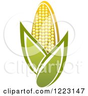 Poster, Art Print Of Golden Ear Of Corn And Leaves 3