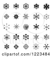 Clipart Of Black And White Snowflakes Royalty Free Vector Illustration by vectorace