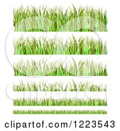 Poster, Art Print Of Grass And Daisy Flower Borders