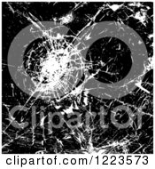 Black And White Background Of Shattered Glass