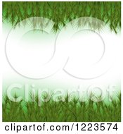 Poster, Art Print Of Border Of Fir Christmas Tree Branches