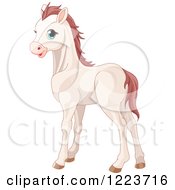 Poster, Art Print Of Cute White Baby Horse With Blue Eyes
