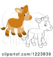 Poster, Art Print Of Outlined And Colored Cute Baby Calf Cows