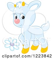 Poster, Art Print Of Cute White Baby Goat With A Flower