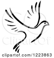 Black And White Flying Dove 5