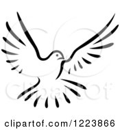 Black And White Flying Dove 2