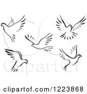 Poster, Art Print Of Black And White Flying Doves