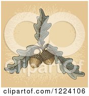 Clipart Of Woodcut Acorns And Oak Leaves Over Tan Royalty Free Vector Illustration