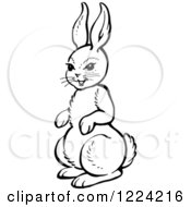 Clipart Of A Black And White Happy Alert Rabbit Royalty Free Vector Illustration