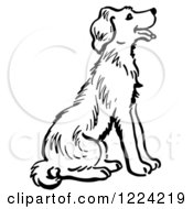 Clipart Of A Black And White Happy Sitting Dog Royalty Free Vector Illustration