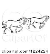 Poster, Art Print Of Black And White Two Trotting Horses