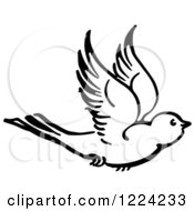 Poster, Art Print Of Black And White Flying Bird