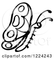 Clipart Of A Black And White Butterfly Royalty Free Vector Illustration by Picsburg