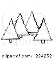 Poster, Art Print Of Black And White Evergreen Trees