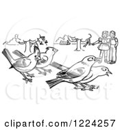 Poster, Art Print Of Black And White Children Watching Birds In A Park