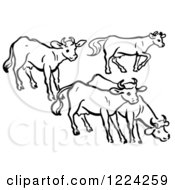 Poster, Art Print Of Black And White Group Of Cows