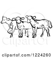 Poster, Art Print Of Black And White Group Of Sheep