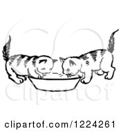 Clipart Of Black And White Two Kittens Drinking From A Saucer Royalty Free Vector Illustration