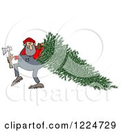 Clipart Of A Lumberjack Man Pulling A Fresh Cut Christmas Tree Royalty Free Illustration