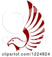 Poster, Art Print Of Maroon Eagle Lifting Its Wing
