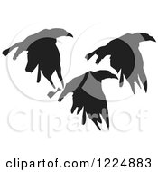 Poster, Art Print Of Black Ink Flying Crows