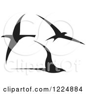 Poster, Art Print Of Three Black Flying Birds
