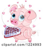 Poster, Art Print Of Cute Pig Holding Valentines Day Chocolates