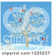 Clipart Of A Winter Tree With Robins Royalty Free Vector Illustration