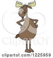 Poster, Art Print Of Moose Standing Upright With His Hooves On His Hips