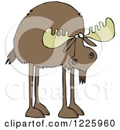 Clipart Of A Moose With Long Legs Royalty Free Vector Illustration