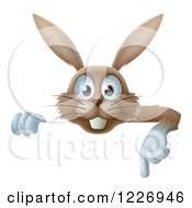 Poster, Art Print Of Happy Brown Rabbit Pointing Down At A Sign