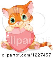 Poster, Art Print Of Cute Tabby Ginger Kitten Sitting With A Valentine Heart