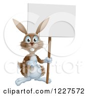 Poster, Art Print Of Brown Bunny Rabbit Holding A Sign