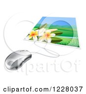 Poster, Art Print Of Computer Mouse Connected To A Photo Of Fangipani Flowers