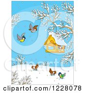 Poster, Art Print Of Birds Around A Feeder On A Winter Day