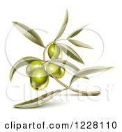 Poster, Art Print Of Branch With Green Olives And Leaves