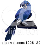 Clipart Of A Hyacinth Macaw Parrot Royalty Free Vector Illustration
