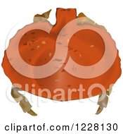 Clipart Of A Red Rock Crab Royalty Free Vector Illustration