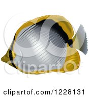 Poster, Art Print Of Blackback Butterflyfish