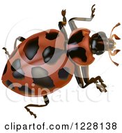 Poster, Art Print Of Spotted Beetle